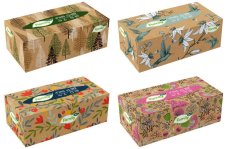 Kapesníčky papírové TENTO Family box 200 ks